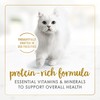 Purina Fancy Feast Delights with Cheddar Grilled Chicken, Turkey or