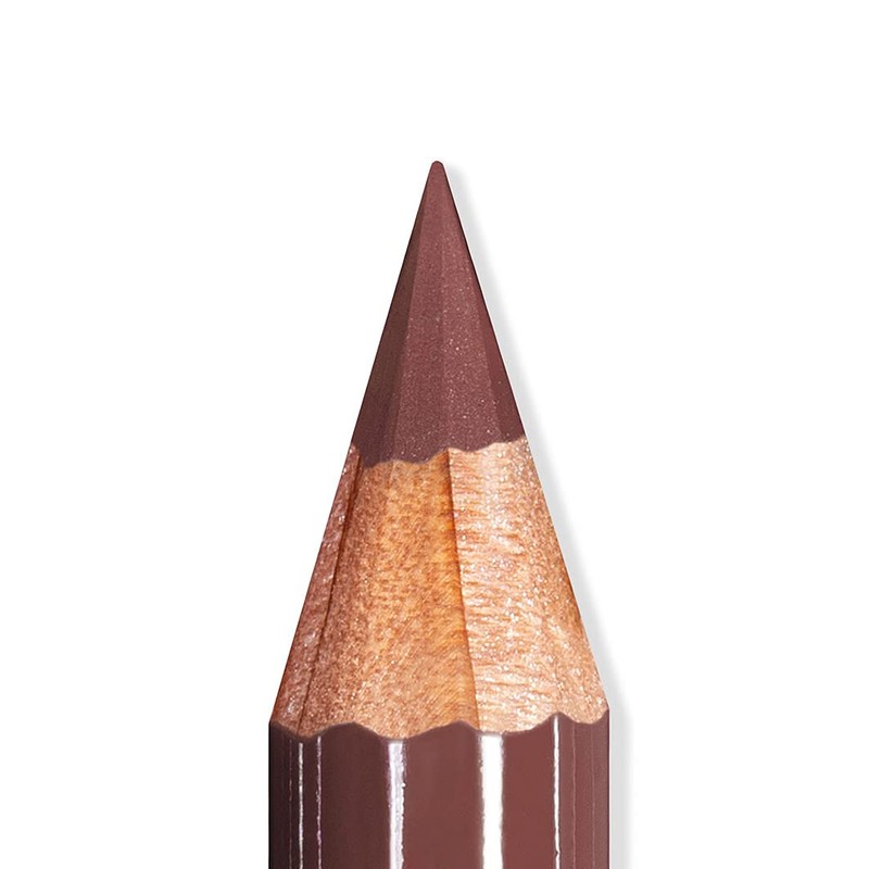 Mesauda Artist Lips 102 Rosewood