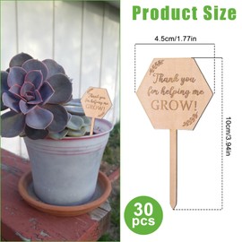30Pcs Let Grow Succulent Tags Wedding Favors, Hexagon Plant Sticks Wooden Stake Signs for Wedding Bridal Shower Baby Shower Anniversary Succulent Party Favors