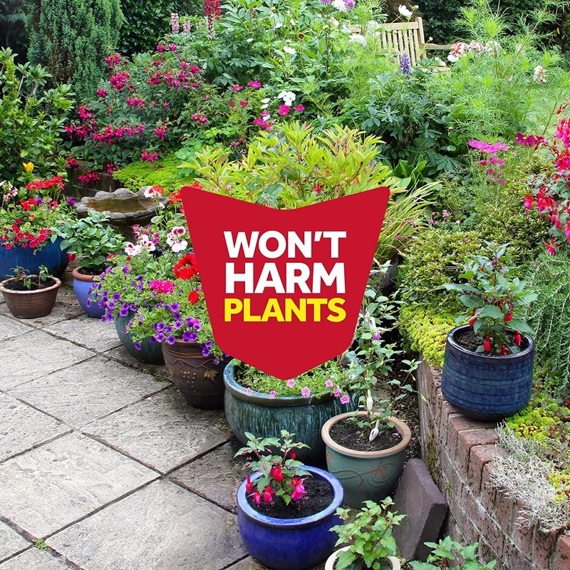 Raid Multi Insect Killer, Orange Breeze,15 Ounce (Pack of 3)