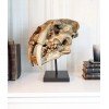 Ebros Sabertooth Tiger Cat Fossil Skull Skeleton Statue With Museum