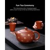 Color-Changing Yixing Clay Teapot，11Oz Chinese Luck Enchanted Purple Clay Tea