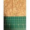 Jo-Ann Jo ANN COTTON Fabric BY THE HALF YARD Prehistoric