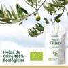 Olive Leaf Tea Organic 100g (50 Cups) | 100% Pure
