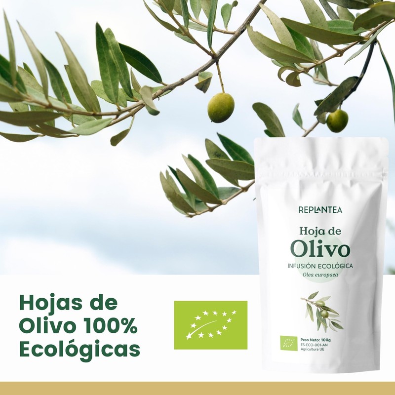 Olive Leaf Tea Organic 100g (50 Cups) | 100% Pure