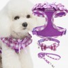 EXPAWLORER Cute Dog Harness Collar Leash Set - Purple Girl
