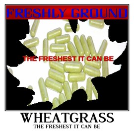PRIORITY HEALTH AID WHEATGRASS Wheat Grass Green Fresh Ground Potency 100 Veg Capsules