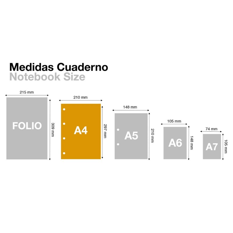 Miquelrius A4 Notebook Extra Strong Cover 4 Coloured Strips 120