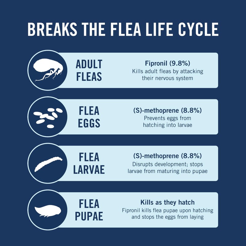 PetArmor Plus Flea and Tick Prevention for Dogs, Small Dog