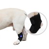 Dog Patella Luxation Support Brace Joint Brace M