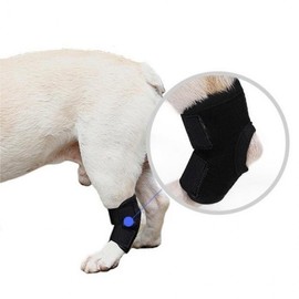 Dog Patella Luxation Support Brace Joint Brace M