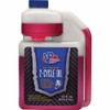 VP Racing 16 Oz. 2-Cycle Oil Fuel 2907 Pack of