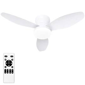 Small Ceiling Fan with Lights and Remote, 32'' Flush Mount, White