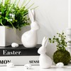 Pawliss Easter Decorations: Elegant White Ceramic Bunny Figurines Set of
