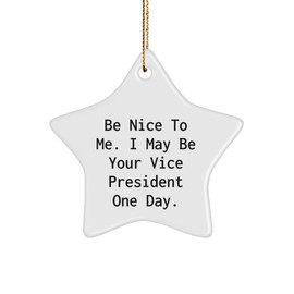 Funny Vice President Gift Ideas, Be Nice to Me. I May Be Your Vice President One Day. Star Ornament, Unique Christmas Decorations for Men, Women, Friends, Coworkers, Family