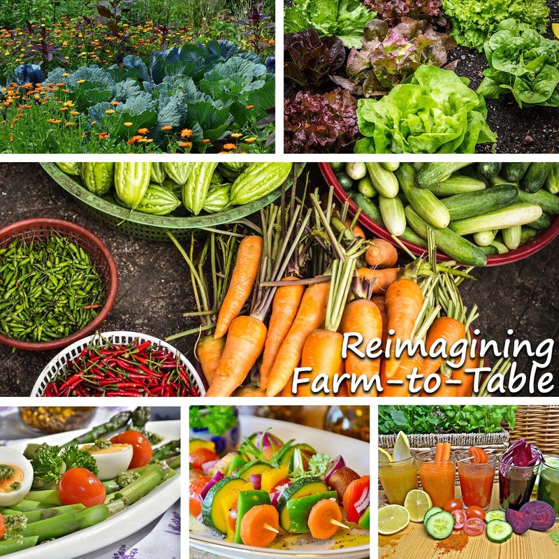 Squash Seeds - Summer - Vegetable Marrow Green Bush -