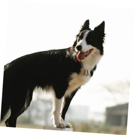 Mobestech 5Pcs Vintage Brass Livestock Hanging Bells Unique Decorative Ornaments for Home Garden Christmas Lightweight Design Sheep Elegant Bell Pendants