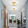 EIDISUNY LED Ceiling Light Modern Ceiling Lamp Silver Round Simple