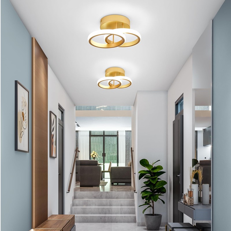EIDISUNY LED Ceiling Light Modern Ceiling Lamp Silver Round Simple