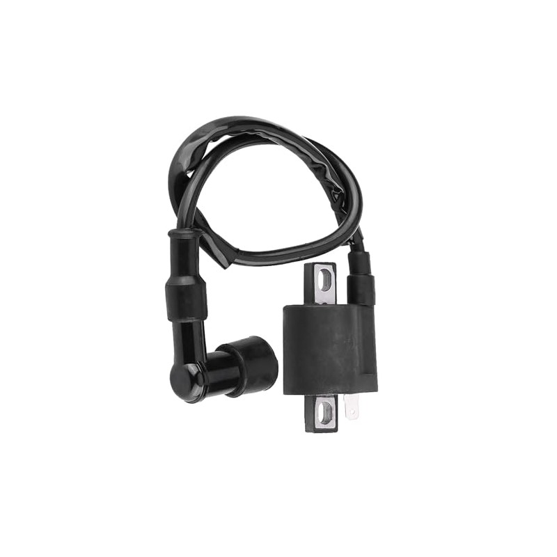 Motorcycle Ignition Coil, ATV Racing Ignition Coil for 150CC 200CC