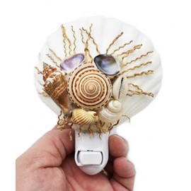 Florida Shells & Gifts Real Seashell Night Light Decorative Scallop Shell Beach Decor 5" on/off Switch