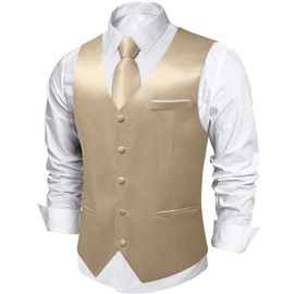 DiBanGu Champagne Vest for Men's Casual and Formal Dress Waistcoat for Suit & Tuxedo