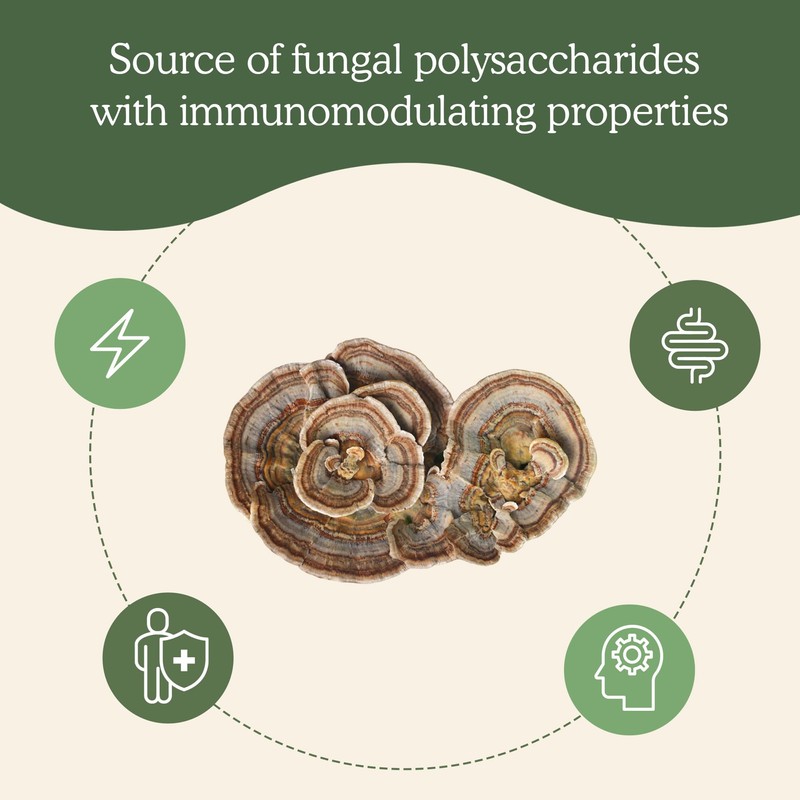 Real Mushrooms Real Mushrooms Turkey Tail Capsules - Organic Extract