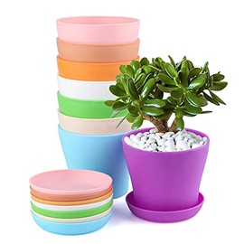 8 Pack Plant Pots,Flower Pots with Saucers,5.5in Pots for Plants,Plant Nursery Pots,Indoor Planter Succulents