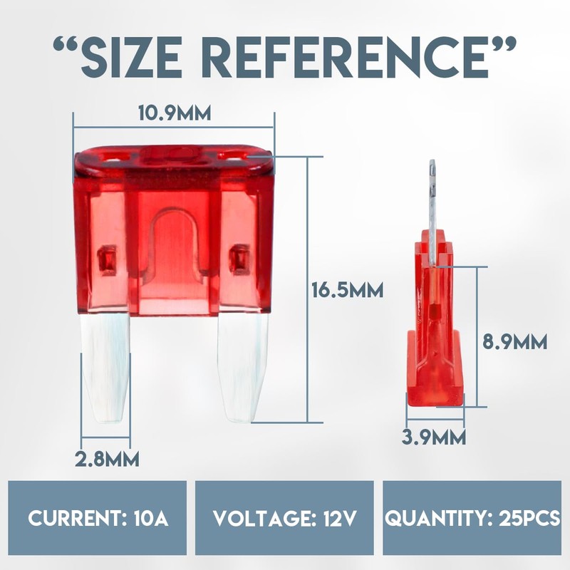 Innfeeltech 25 Stück Mini-Autosicherung, Auto-Flachsicherung 10A mit 2 Plastikklammern für