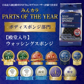 SurLuster Washing Sponge, model: S-70