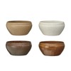 Creative Co-Op Large Earthen Hues Stoneware Bowl Collection, Multicolor, Set