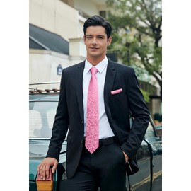 HISDERN Men's Wedding Tie with Pocket Square Paisley Formal Classic Men's Tie and Handkerchief Set for Men, N-pink, One size fits all