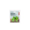 Kikkerland Cactus Erasers, Set of 2 (ER56)