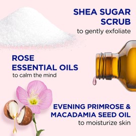 Dr Teal's Shea Sugar Body Scrub, Rose with Essential Oil, 19 oz (Pack of 3)