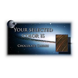 Shari Large by Envy Wigs, Color Chosen: Chocolate Cherry