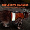 Kitty Holster - Arnés reflectante para gatos - Chaleco de