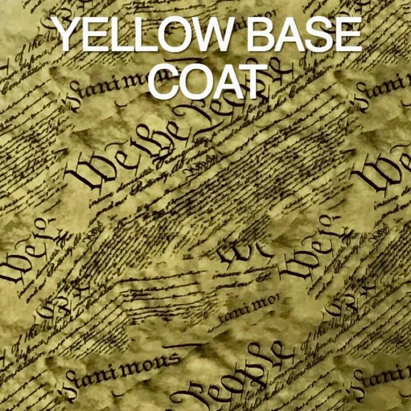 Dip Ape 16oz hydrographic film / activator We the People