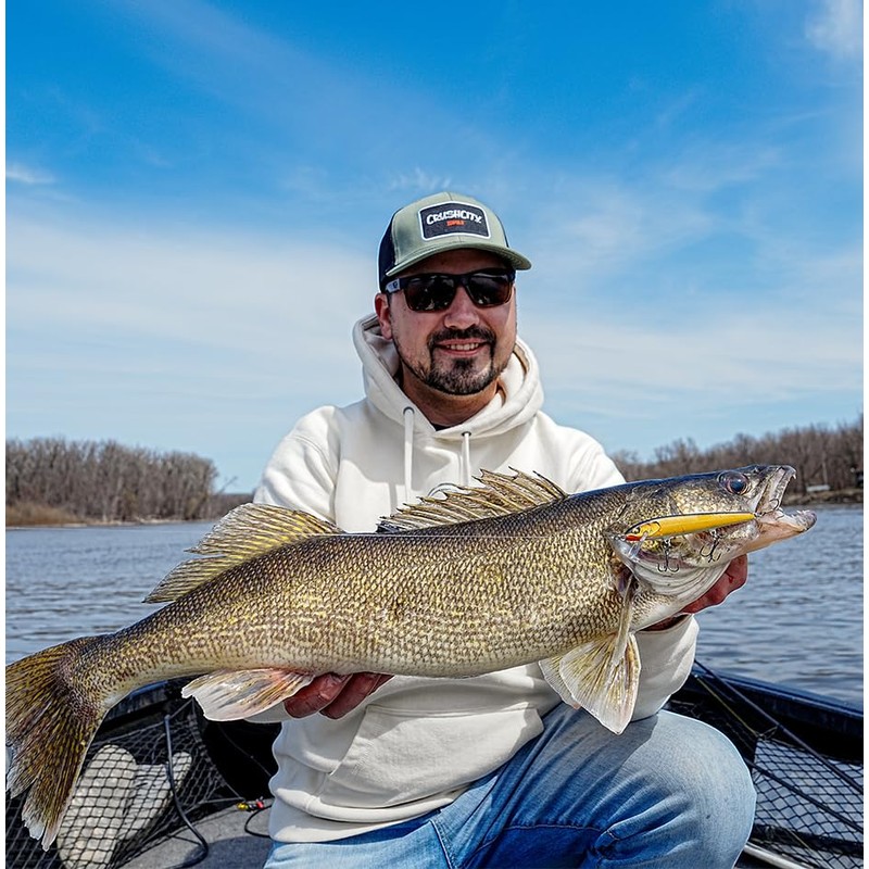 Rapala FLOATER Elite 120 GDGS Gild Gold Shad FE120