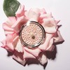 Physicians Formula Powder Palette Mineral Glow Pearls, Translucent Pearl, 0.28