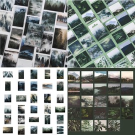 76PCS Vintage Forest Plants Stickers Scrapbook Supplies, Maxleaf 2 Boxes Mini Mountain Forest Leaves Collections Stickers for DIY Art Journaling Planners Laptops Crafts