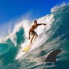 iBOARD 12.6 inch Center SUP Paddle Board Fins Foam Surfboard