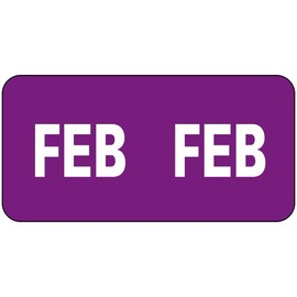 Smead ETS Color-Coded Month Label, February, Purple, 250 labels per Pack (67452)