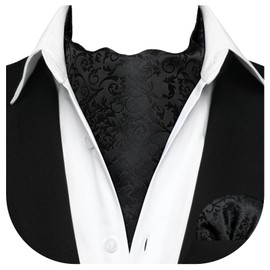 HISDERN Men's Tie Scarf Floral Paisley Ascot Tie Wedding Business Neckerchief and Pocket Square Set, Z01-Red