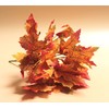 DARO DEKO Artificial Plant Shrub Leaf Frond Bouquet Maple Leaves