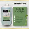 Aceite Masajes Eucalipto Corporal Spa Profesional 4 Litros VA