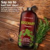 Shampoo De Romero Con Biotina Mystère Beauté 16