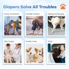 Disposable Dog Diapers Absorbent Soft Puppy Doggie Diapers for Female
