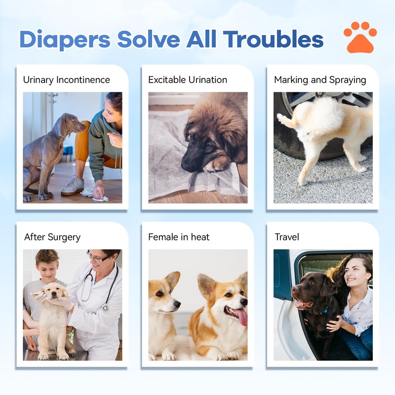 Disposable Dog Diapers Absorbent Soft Puppy Doggie Diapers for Female