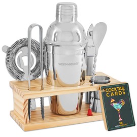 Modern Mixology Bartender Kit - 8-Piece Cocktail Shaker Set with Wood Stand, Recipe Cards, and Bar Accessories Ideas (Silver)
