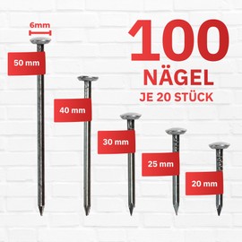 RIKAMA® 100 Picture Nails, Silver with Holder, Mix of 100, Steel Nails for Use on Concrete, Brick, Plaster & Wood, Hardened Steel Nails Hanging, Made in Germany